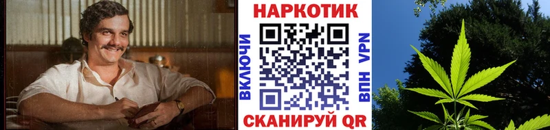 Купить наркотик Сургут APVP  ГАШИШ  Псилоцибиновые грибы  Канабис 