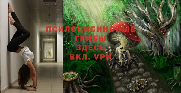 каннабис Абаза