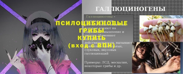 молекула духа Абинск