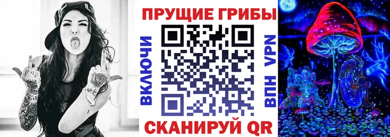 Галлюциногенные грибы Psilocybe  закладка  Сургут 