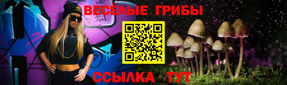 Псилоцибиновые грибы GOLDEN TEACHER  Вход с VPN  Сургут 